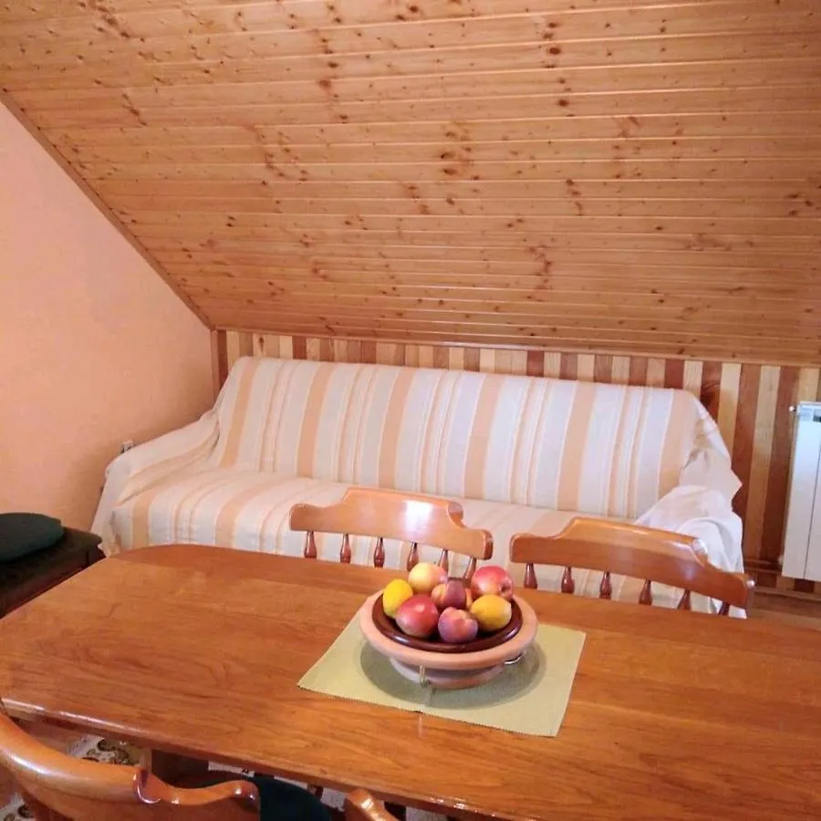 Apartment Petra Mrkopalj