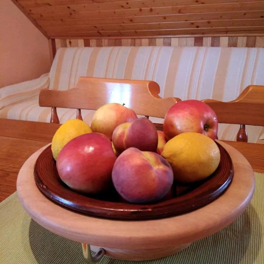 Apartment Petra Croatia